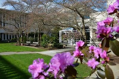 healinggarden_cherryblossoms_spring2015——(1)(1).jpg